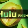 Hulu(フールー)のダウンロード機能とは？出来ない場合やPC版も解説【2020年版】